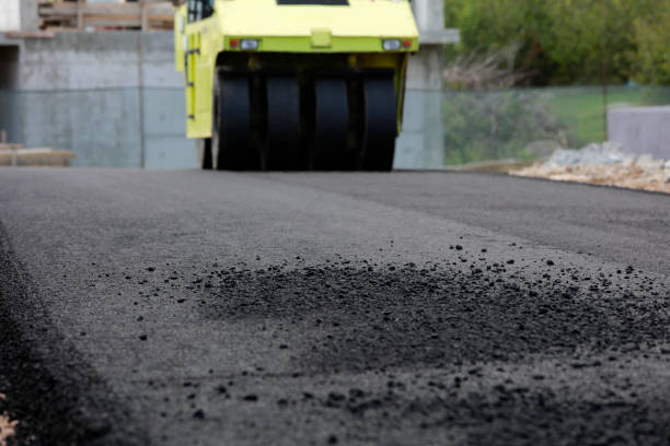 Best Driveway Paver Repair  in Briar Chapel, NC